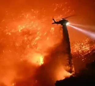 لاس اینجلس میں لگی آگ سے ہالی ووڈ اداکارہ ہلاک