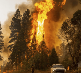 لاس اینجلس میں ہوائیں مزیدتیز؛ آگ پھیلنےکا خدشہ