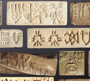 اگر آپ سندھ کی یہ زبان جانتے ہیں تو آپ کو 10 لاکھ ڈالر کا انعام ملے گا