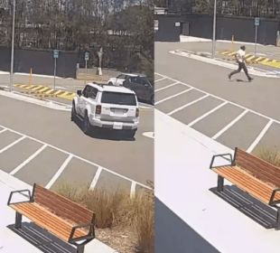 کرکٹر کے ساتھ سیلفی لینے کی کوشش ؛ مداح نے گاڑی کو ٹکر مار دی