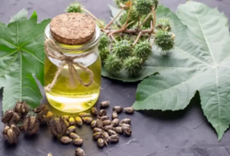 کیسٹرآئل بالوں کی نشوونما کےلیےکتنامفید؟