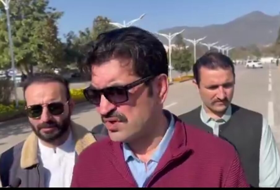 عادل راجا اور کمپنی قوم کے نوجوانوں کو گمراہ کر رہے ہیں، شیر افضل مروت