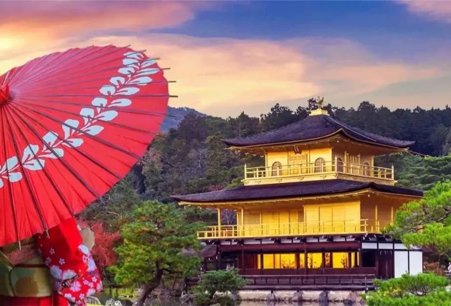 جاپان کی سیر کریں اب بالکل مفت