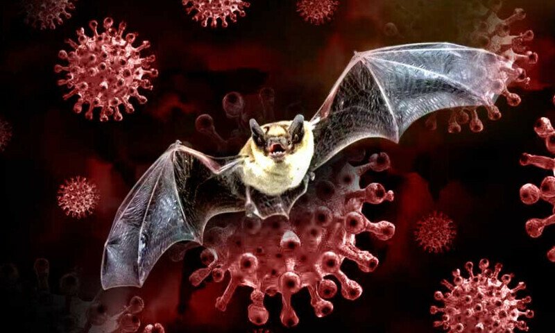 انسانیت کےلئے ایک اوربڑاخطرہ؟ چین میں نیاکورونا وائرس دریافت