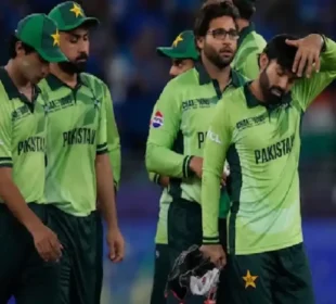 ایک سال کےلئےقومی کرکٹ ٹیم کو معطل کرنےکامشورہ