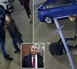 شہری کو مُکّامارنےپر رکن اسمبلی کوجیل بھیج دیاگیا 6 شہری کو مُکّامارنےپر رکن اسمبلی کوجیل بھیج دیاگیا