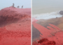 ایرانی ساحل خونی رنگ میں تبدیل ہوگیا، سیاح خوفزدہ