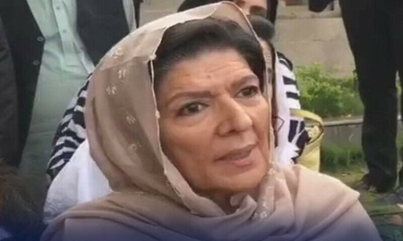 سلامتی کونسل کےاجلاس میں پی ٹی آئی شرکت نہیں کرےگی