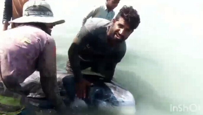 نایاب ڈولفن کی اورماڑہ کےساحل پرآمد، ماہی گیرخوشی سےنہال