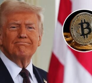 امریکہ کریپٹوکرنسی ریزرو کاعالمی دارالحکومت ، آرڈر جاری