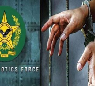 پشاور: پشاور میں کورئیر سروس سے منشیات ترسیل کرنے والا گروہ گرفتار