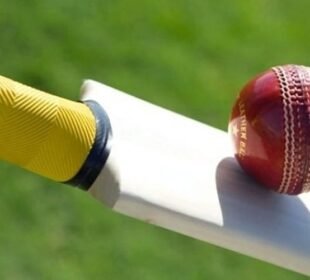 یورپی کرکٹ لیگ میں انوکھے کیچ سے سب حیران