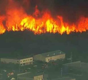 نیو جرسی کے جنگلات میں خوفناک آگ لگ گئی 9 نیو جرسی کے جنگلات میں خوفناک آگ لگ گئی