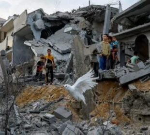 پناہ گزینوں کے خیموں پر بمباری سے 45 فلسطینی شہید 8 پناہ گزینوں کے خیموں پر بمباری سے 45 فلسطینی شہید