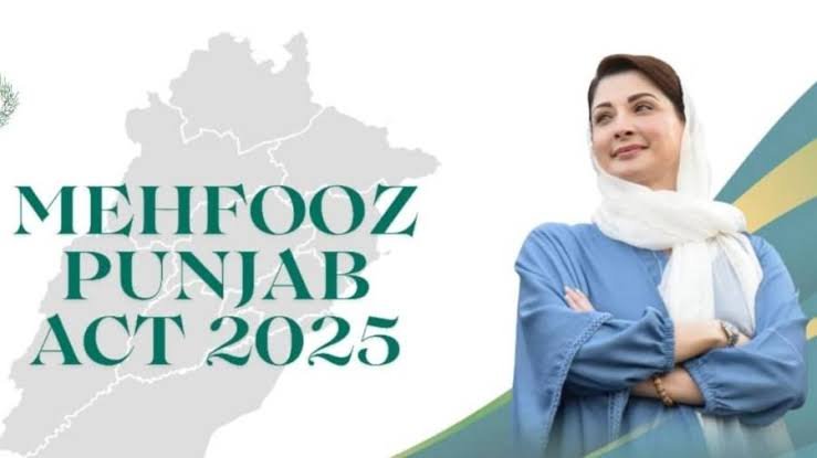 محفوظ پنجاب ایکٹ 2025 کا مسودہ تیار