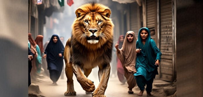 آزاد کشمیر کی آبادی میں شیر گھس آیا