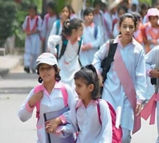 مفت سمر کیمپ لگانے کی اجازت