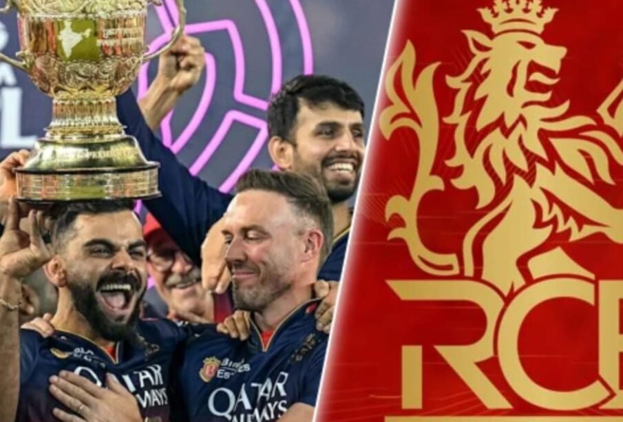 آئی پی ایل کی فاتح ٹیم برائے فروخت