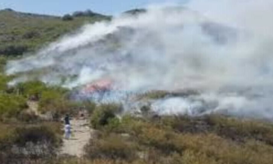 مارگلہ پہاڑیوں میں پھر آگ لگ گئی