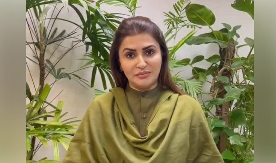 پیپلز پارٹی کی طرف سے سولر پینلز پر ٹیکس مسترد