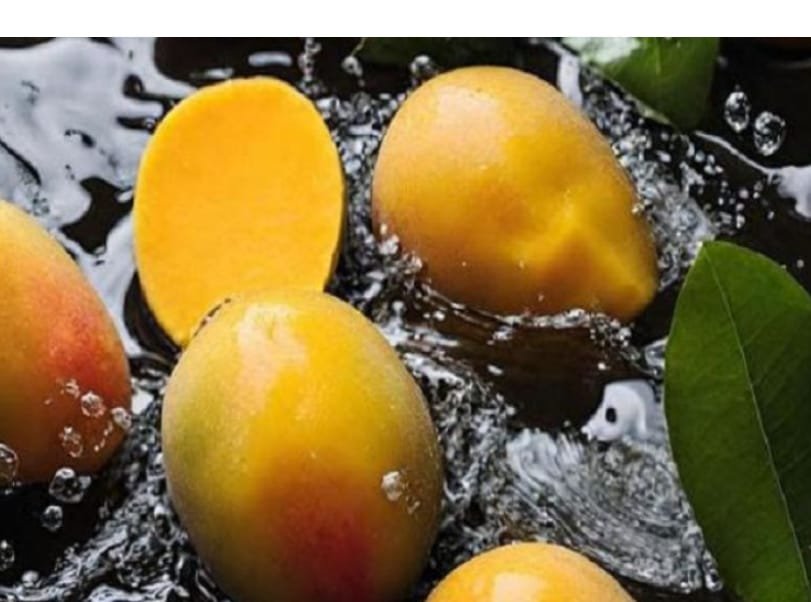 آم کو کھانے سے پہلے پانی میں رکھنے کی افادیت