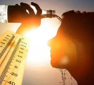 سخت گرمی سے 6 سو سے زائد افراد ہلاک