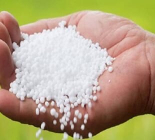 ملک بھر میں کھاد کی قیمتوں میں اضافہ 10 ملک بھر میں کھاد کی قیمتوں میں اضافہ