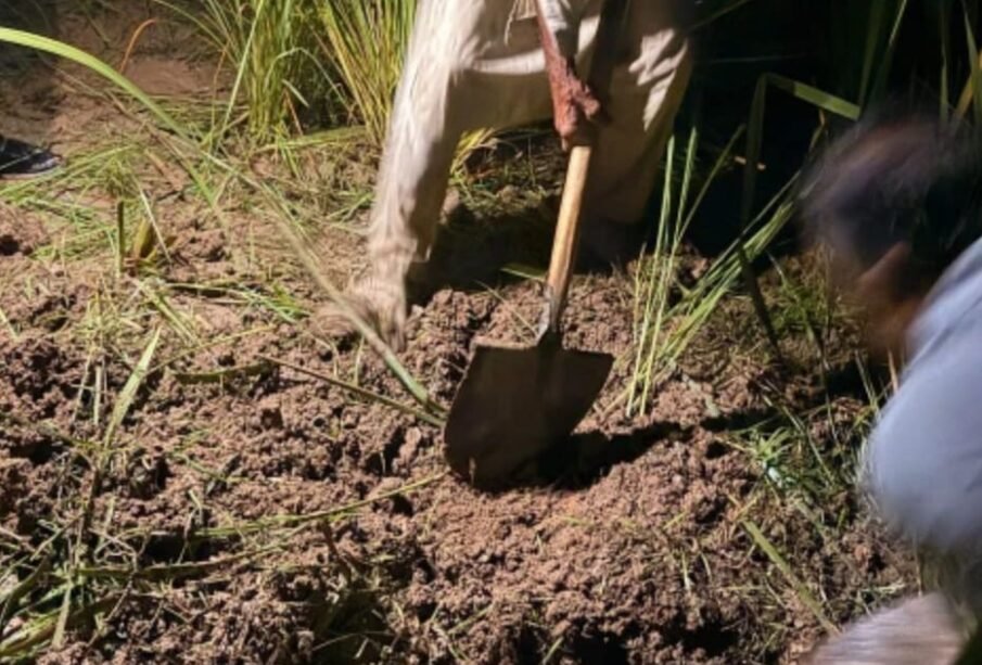 شوہر نے بیٹوں کے ساتھ مل کر بیوی کو غیرت کے نام پر قتل کردیا