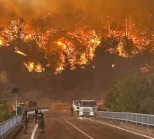 ترکی میں لگی آگ بڑے پیمانے تک پہنچ گئی 7 ترکی میں لگی آگ بڑے پیمانے تک پہنچ گئی