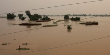 سیلابی ریلوں سے بہاولپور میں 7بندٹوٹ گئے