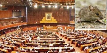 سینٹ اجلاس کے دوران ایوان میں چوہےکی انٹری
