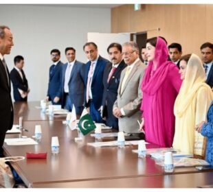 پنجاب میں جاپان میں رائج ہیلتھ مینجمنٹ سسٹم متعارف کروانےکافیصلہ