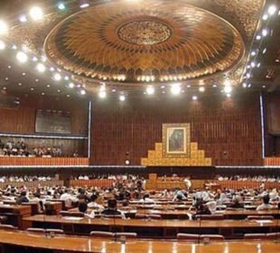 سینٹ سےپیٹرولیم مصنوعات کی ڈیجیٹل ٹریکنگ کاترمیمی بل منظور