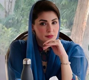 وزیراعلی پنجاب کی جاپان کوہائبرڈ کاروں کی تیاری اوراسمبلنگ کی دعوت