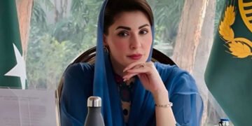 وزیراعلی پنجاب کی جاپان کوہائبرڈ کاروں کی تیاری اوراسمبلنگ کی دعوت