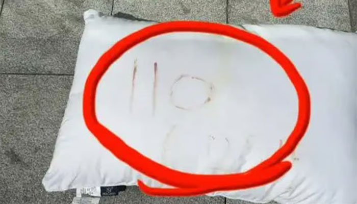 ڈلیوری بوائے نے سڑک پر تکیہ دیکھ کرعورت کی جان بچالی