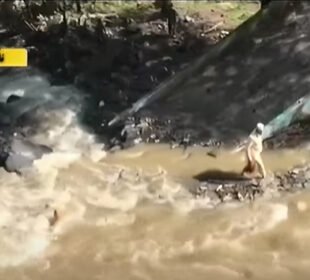 شانگلہ میں سیلاب متاثرین کو مالی امداد فراہم کر دی گئی
