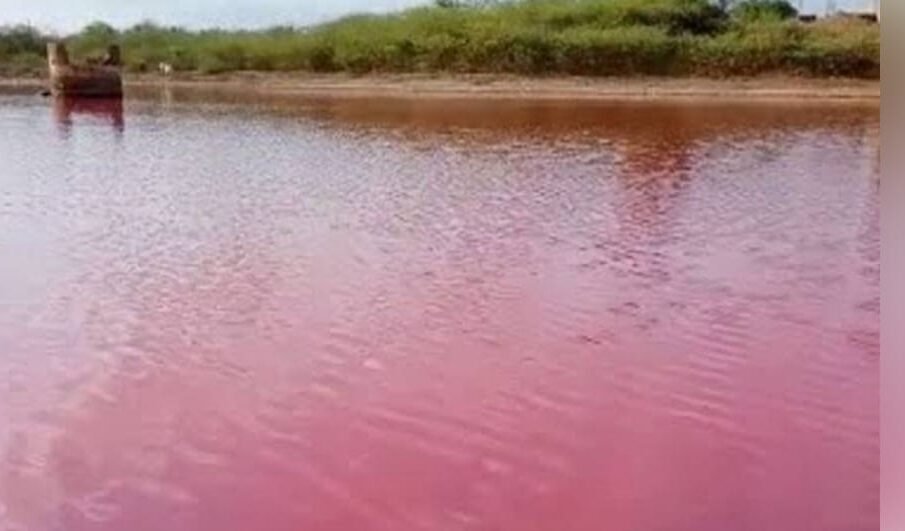 بلوچستان میں سمندر کا پانی گلابی ہو گیا