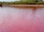 بلوچستان میں سمندر کا پانی گلابی ہو گیا