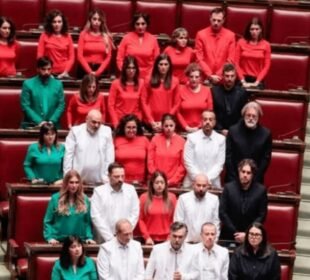 ارکان پارلیمنٹ نے فلسطین کے پرچم والا لباس پہن لیا