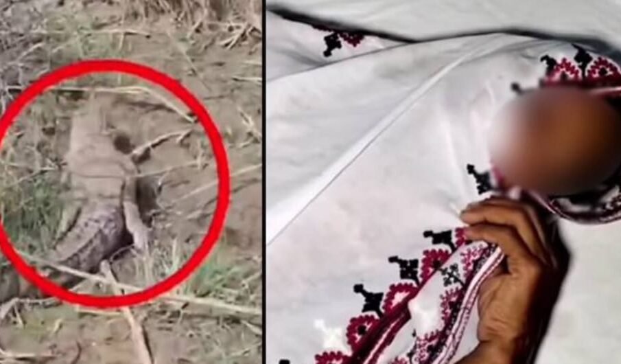 کپڑے دھونے والی خاتون پر مگرمچھ کا حملہ