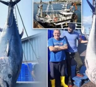 باپ اور بیٹے نے 8 لاکھ مالیت کی مچھلی پکڑ لی