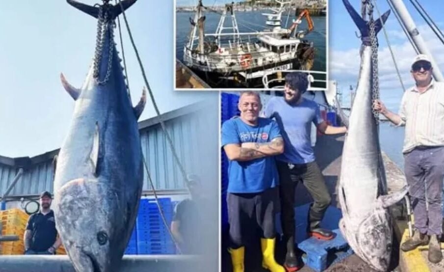 باپ اور بیٹے نے 8 لاکھ مالیت کی مچھلی پکڑ لی