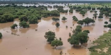 دریائےستلج میں اونچےدرجےکاسیلاب ، فصلیں مکمل تباہ