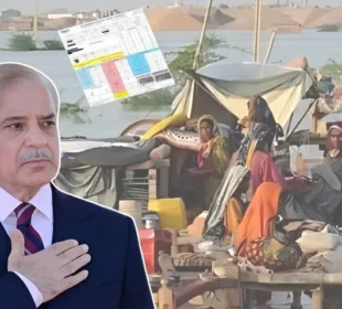 وزیرِاعظم کا عوام دوست اقدام: سیلاب متاثرہ علاقوں کے بجلی بل معاف