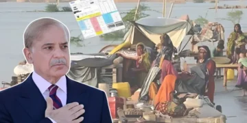 وزیرِاعظم کا عوام دوست اقدام: سیلاب متاثرہ علاقوں کے بجلی بل معاف