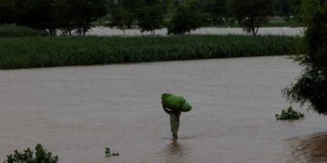 پنجاب میں سیلاب: 4 ہزار دیہات متاثر، لاکھوں ایکڑ اراضی زیر آب