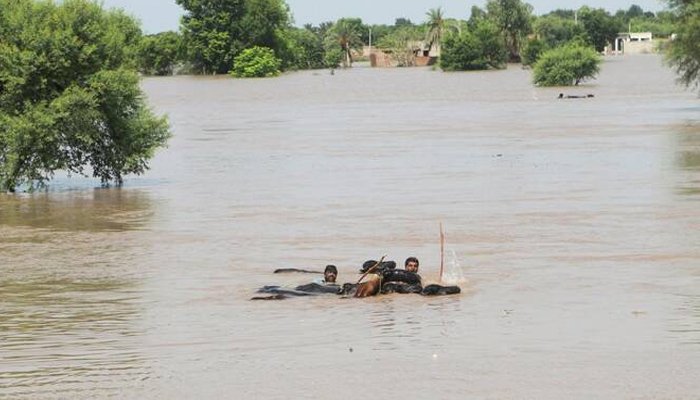 پنجاب کے دریاؤں میں سیلابی صورتحال، متاثرہ علاقوں میں امدادی سرگرمیاں جاری