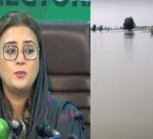 سیلابی ریلے بے قابو، ڈینگی کا خطرہ بھی سر اٹھانے لگا