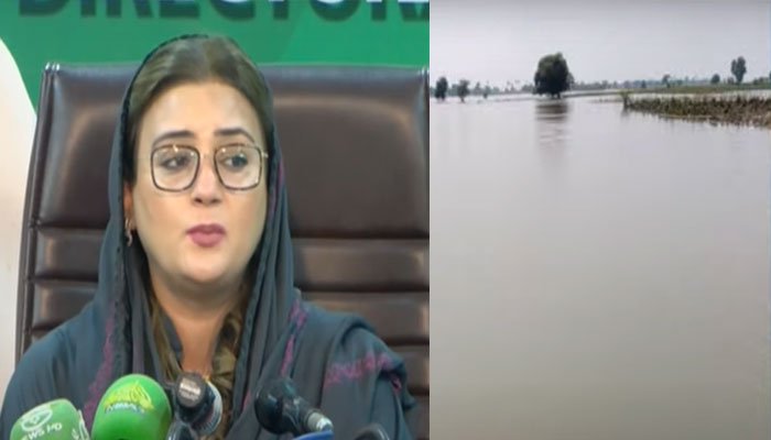 سیلابی ریلے بے قابو، ڈینگی کا خطرہ بھی سر اٹھانے لگا